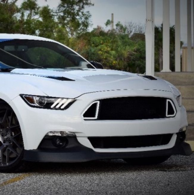 Profile of Richard Traenkner