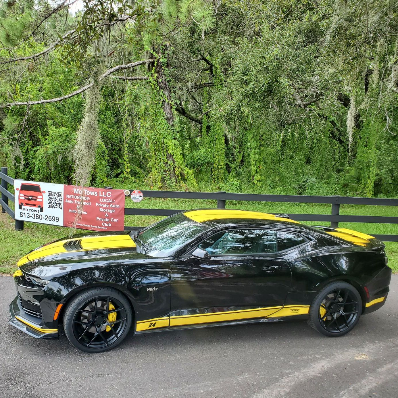 Profile of Anthony Chez