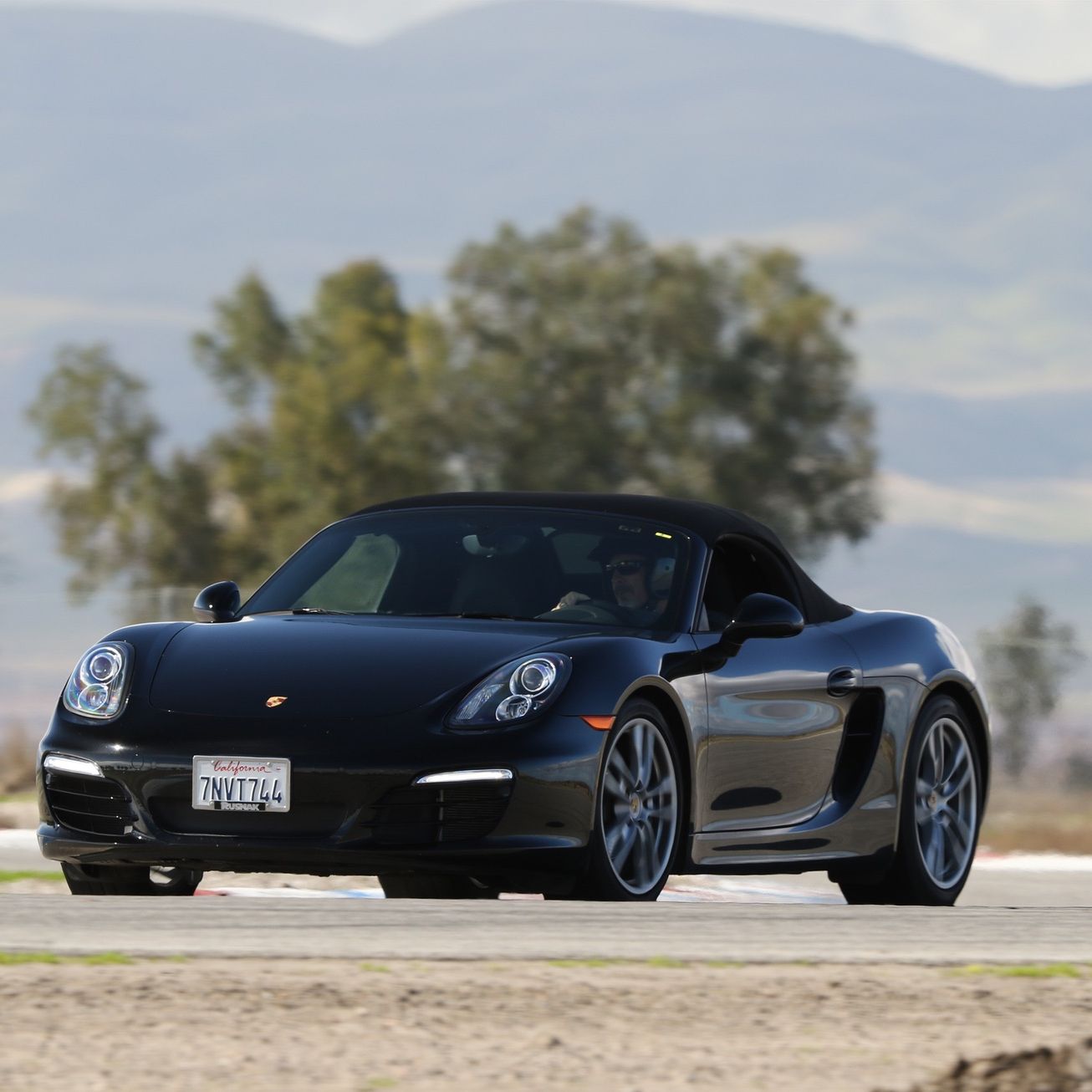 Profile of Joe Caradonna