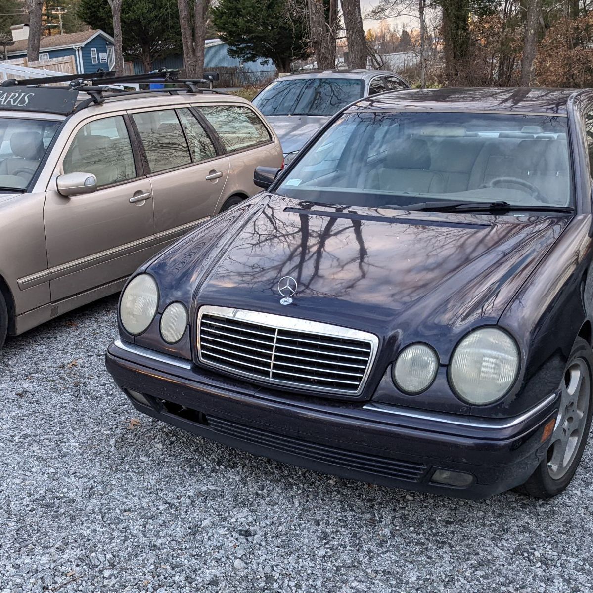 Profile of Danny Coon