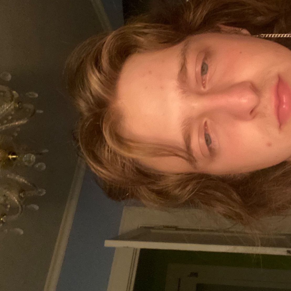 Profile of Leo Reed-Petrone