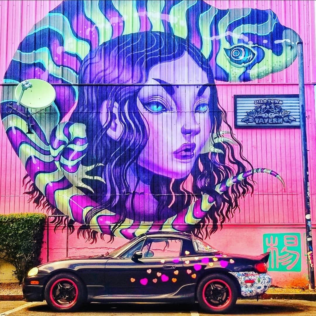 Profile of David Maire