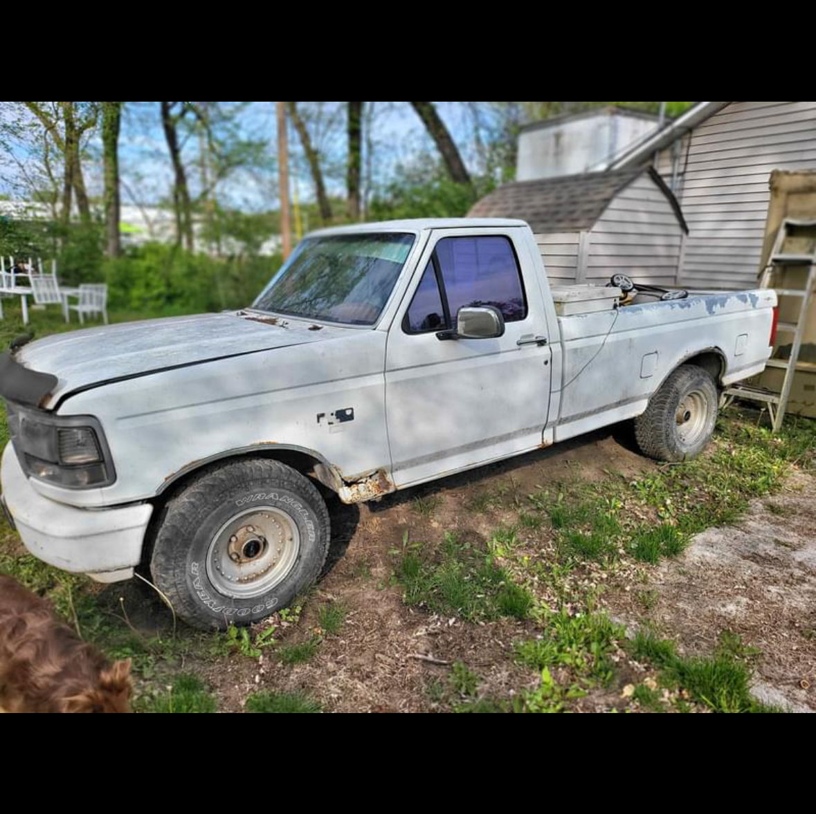 Profile of Matthew Zuege