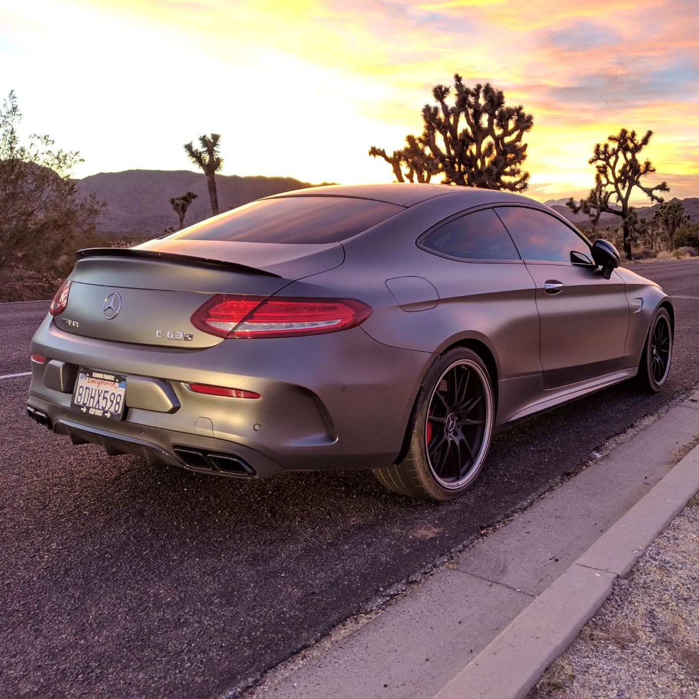 Profile of Ali Guvendiren