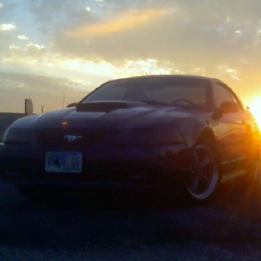 Profile of Landon Schuldies