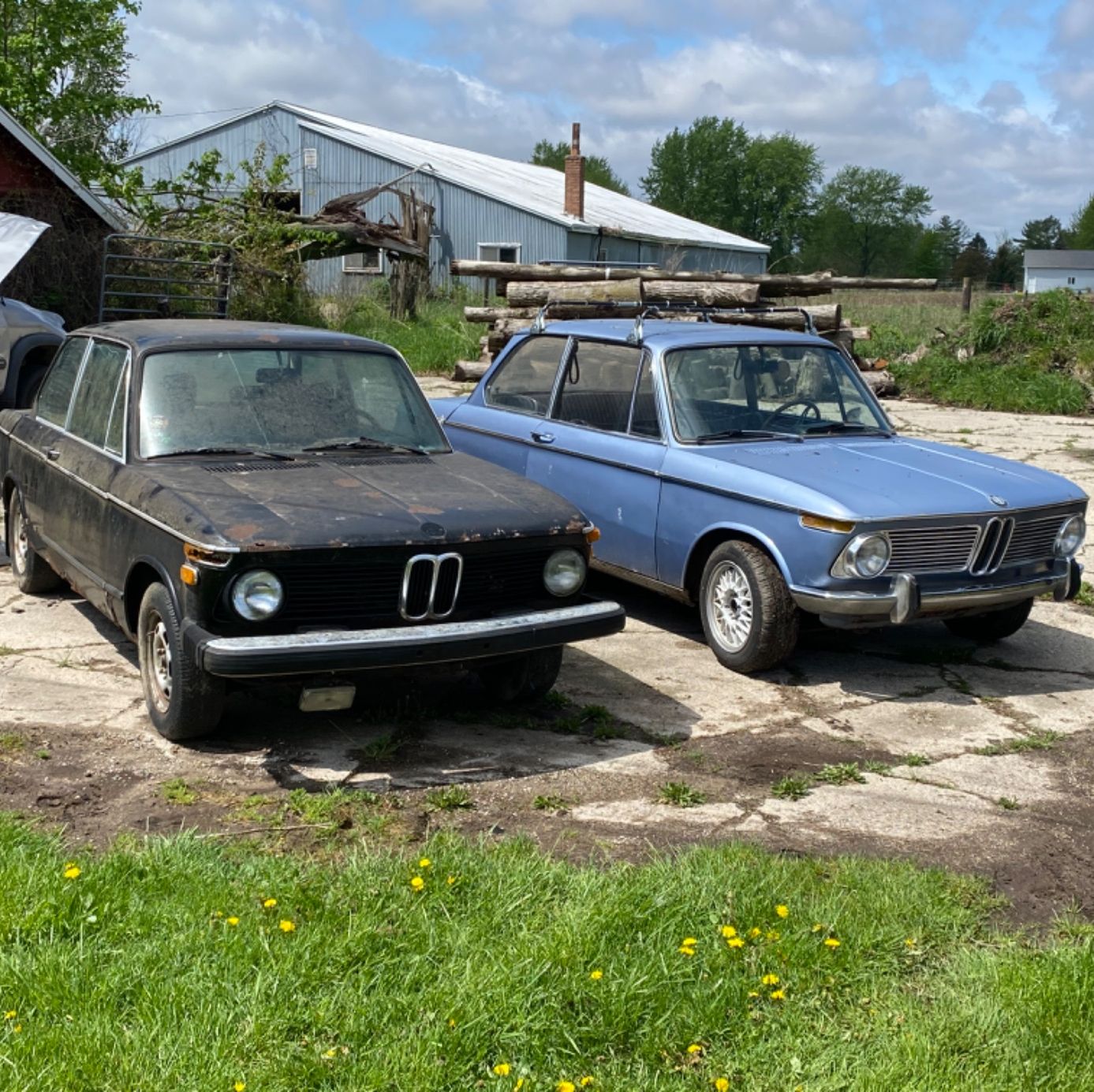 Profile of Allen Hendrick