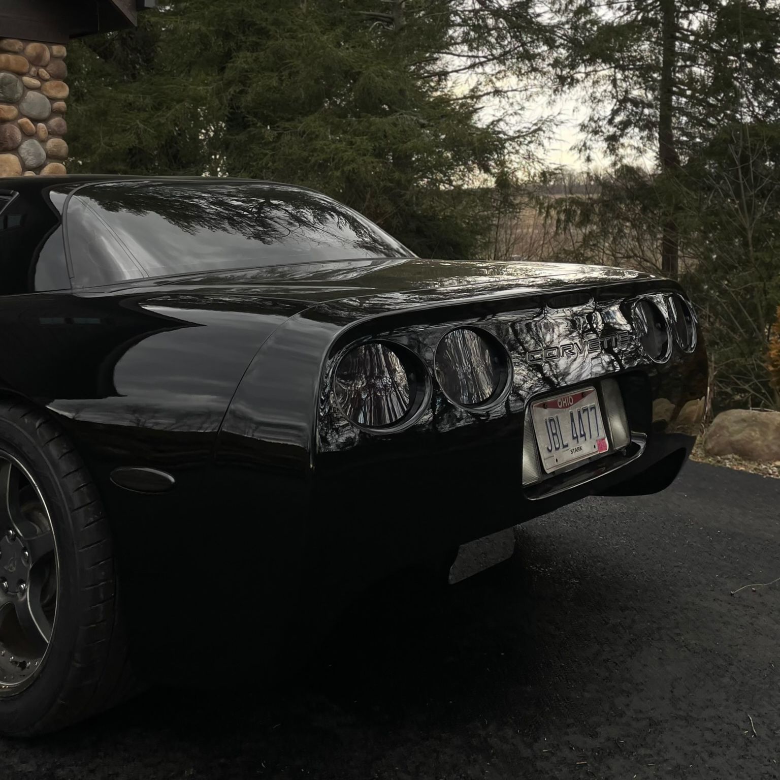 Profile of Joey Ferrara