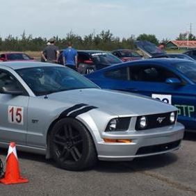 Profile of Dan MacPhee