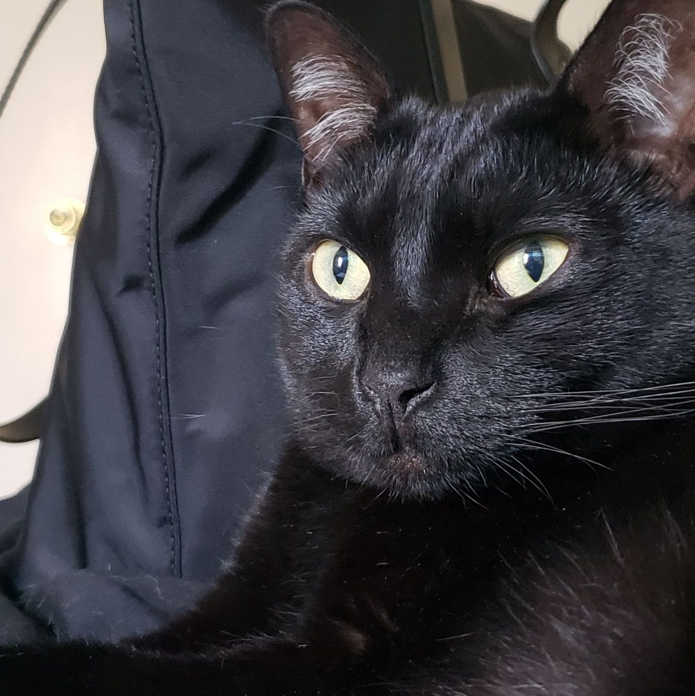 Profile of Ak khairul zaman Pg umar