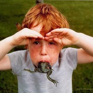 Profile of Dan Wilsford