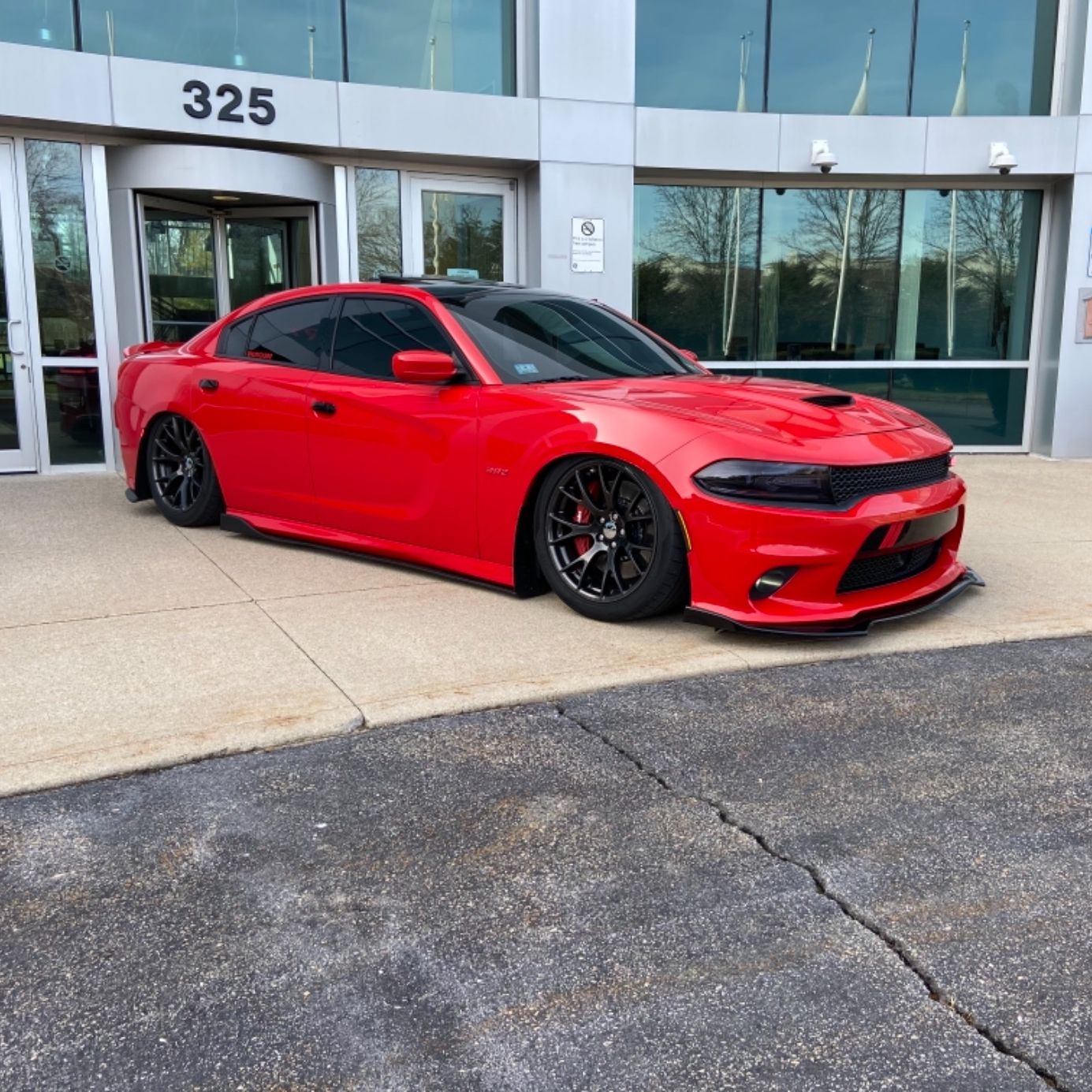 Profile of Terrence Guy