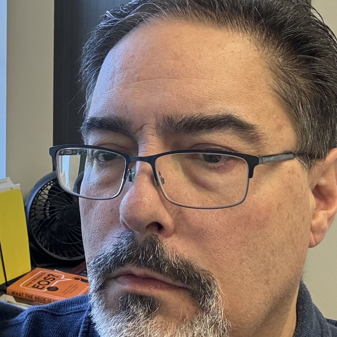 Profile of Stefano DeMarino