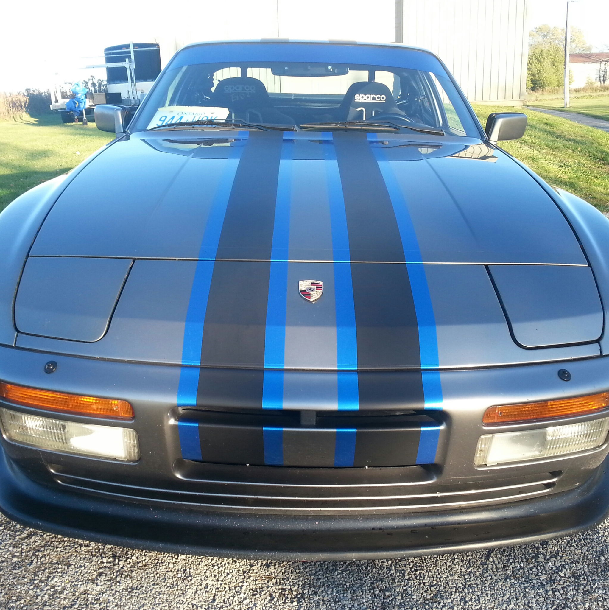 Profile of Wayne Spiegelberg