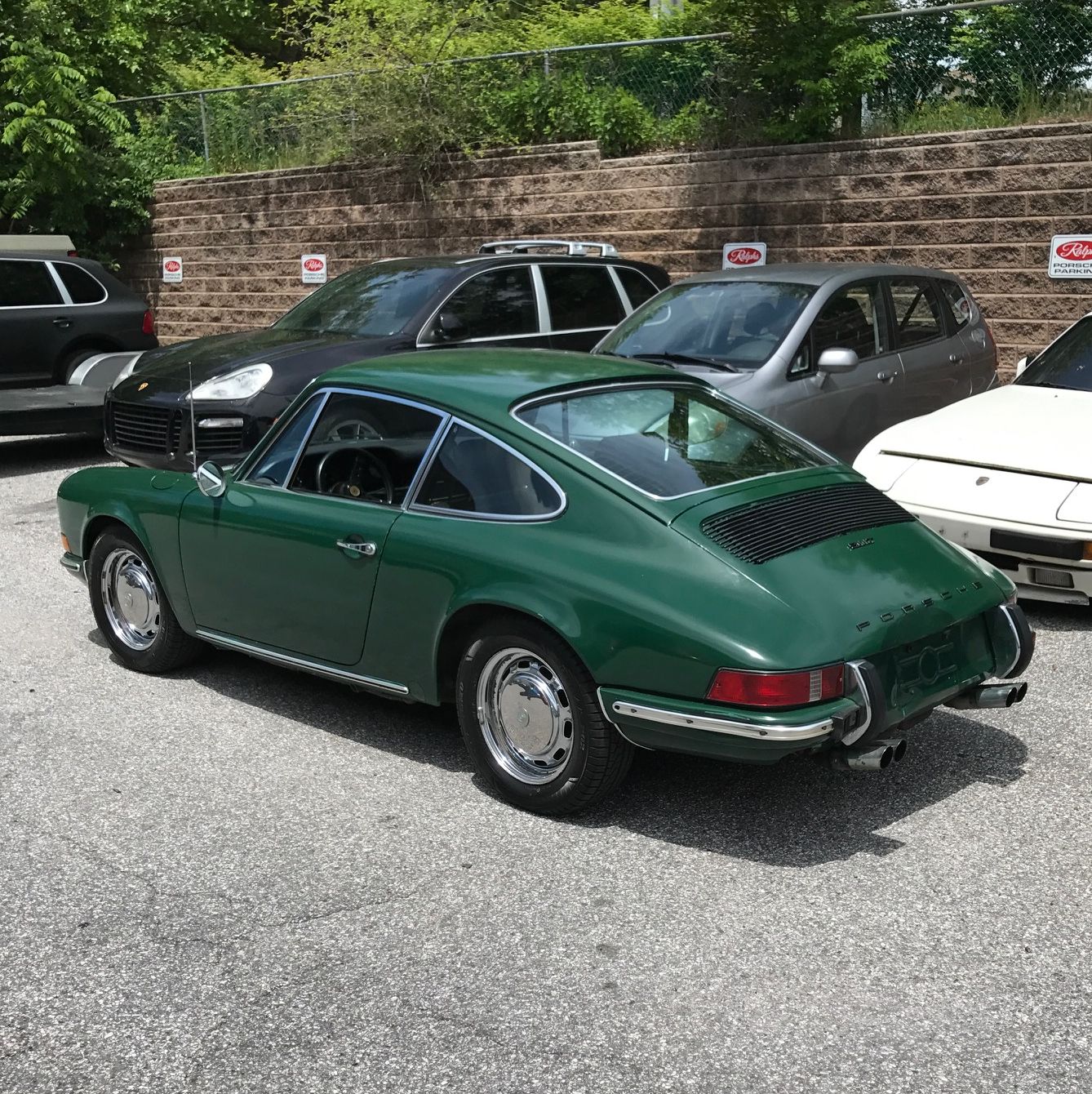 Profile of Aiza Siddiqi