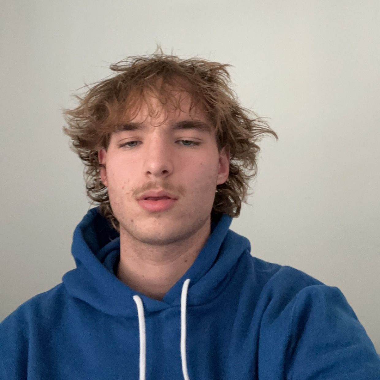 Profile of David Maybee