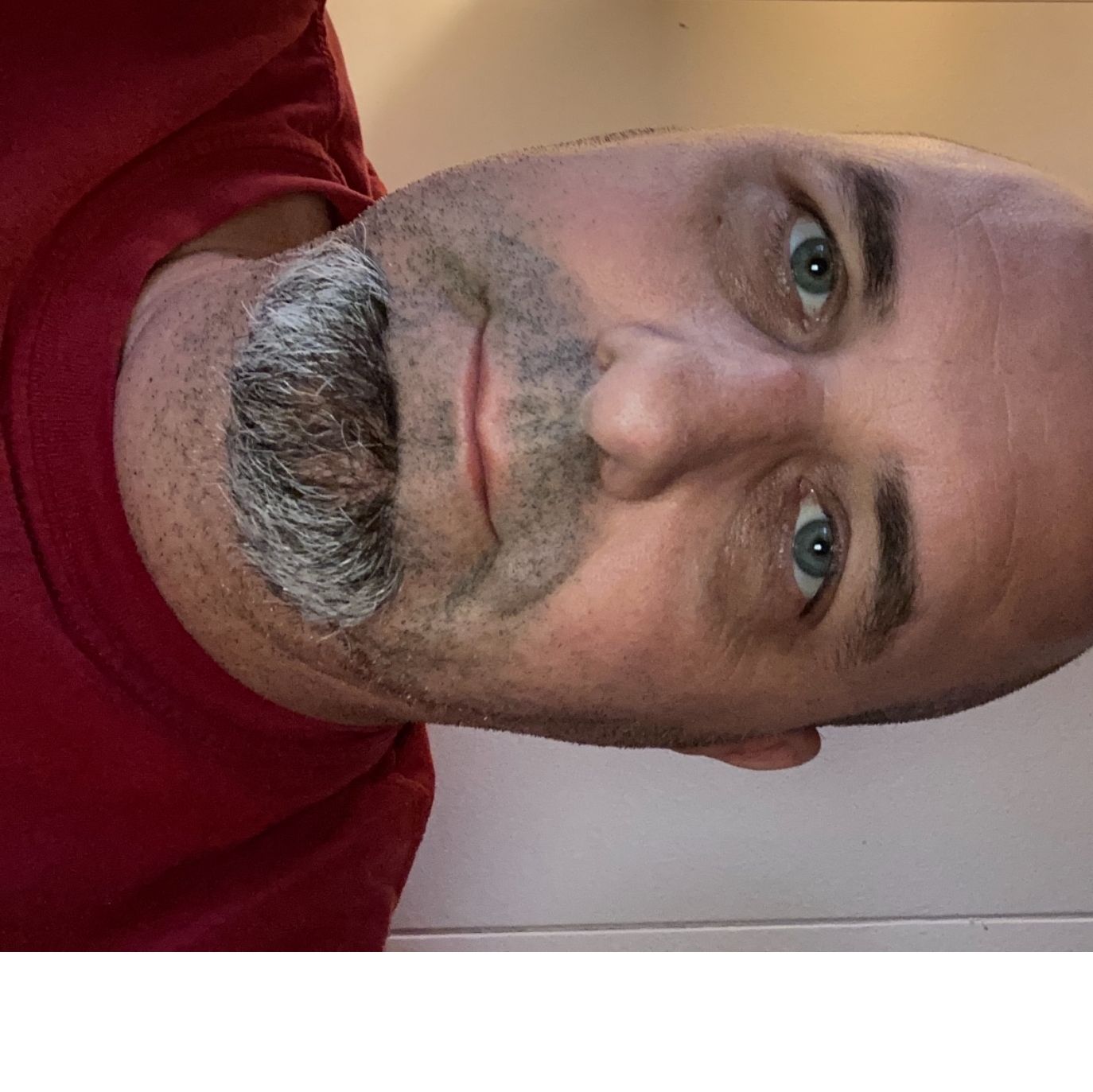 Profile of David Ruby