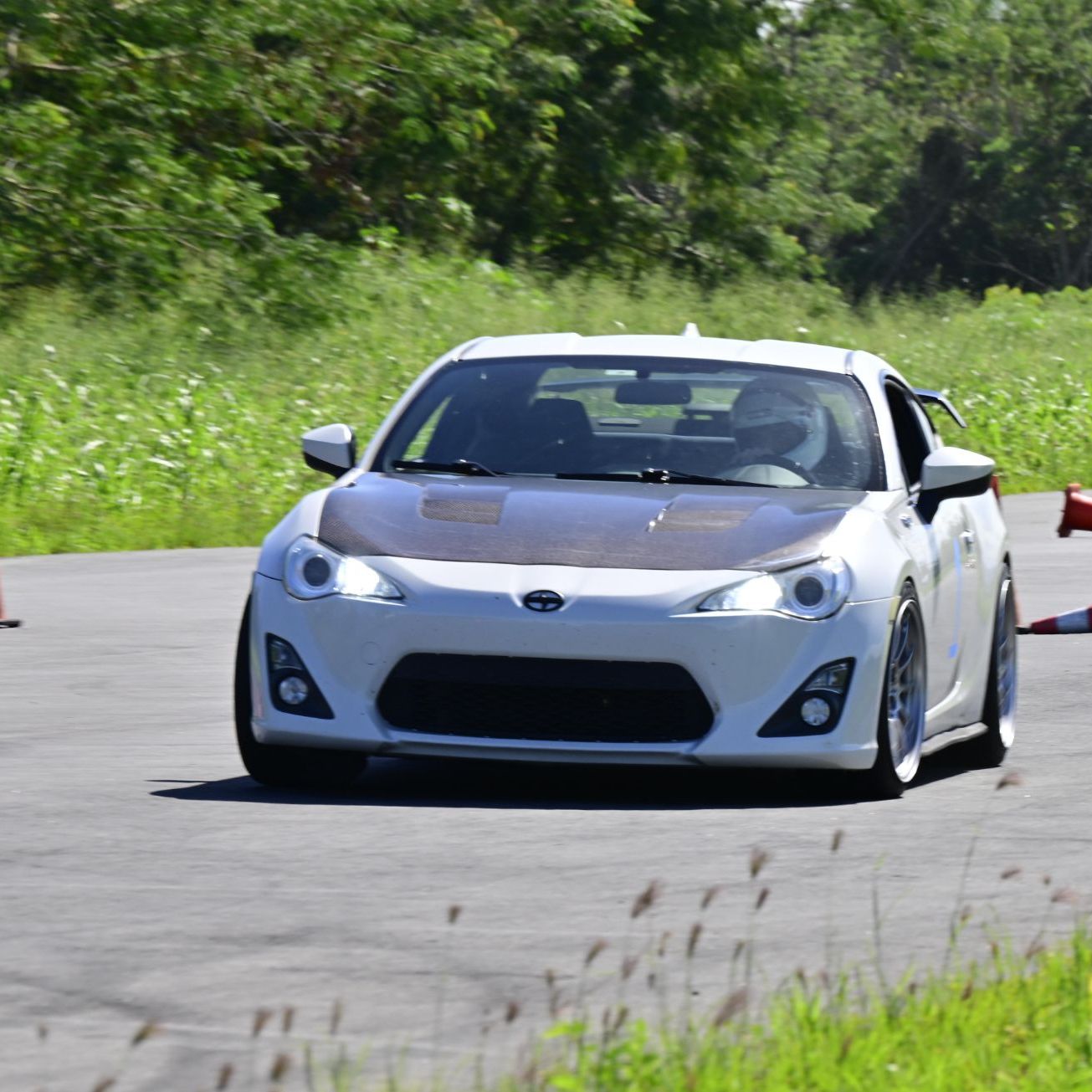 Profile of Avid J. Burés