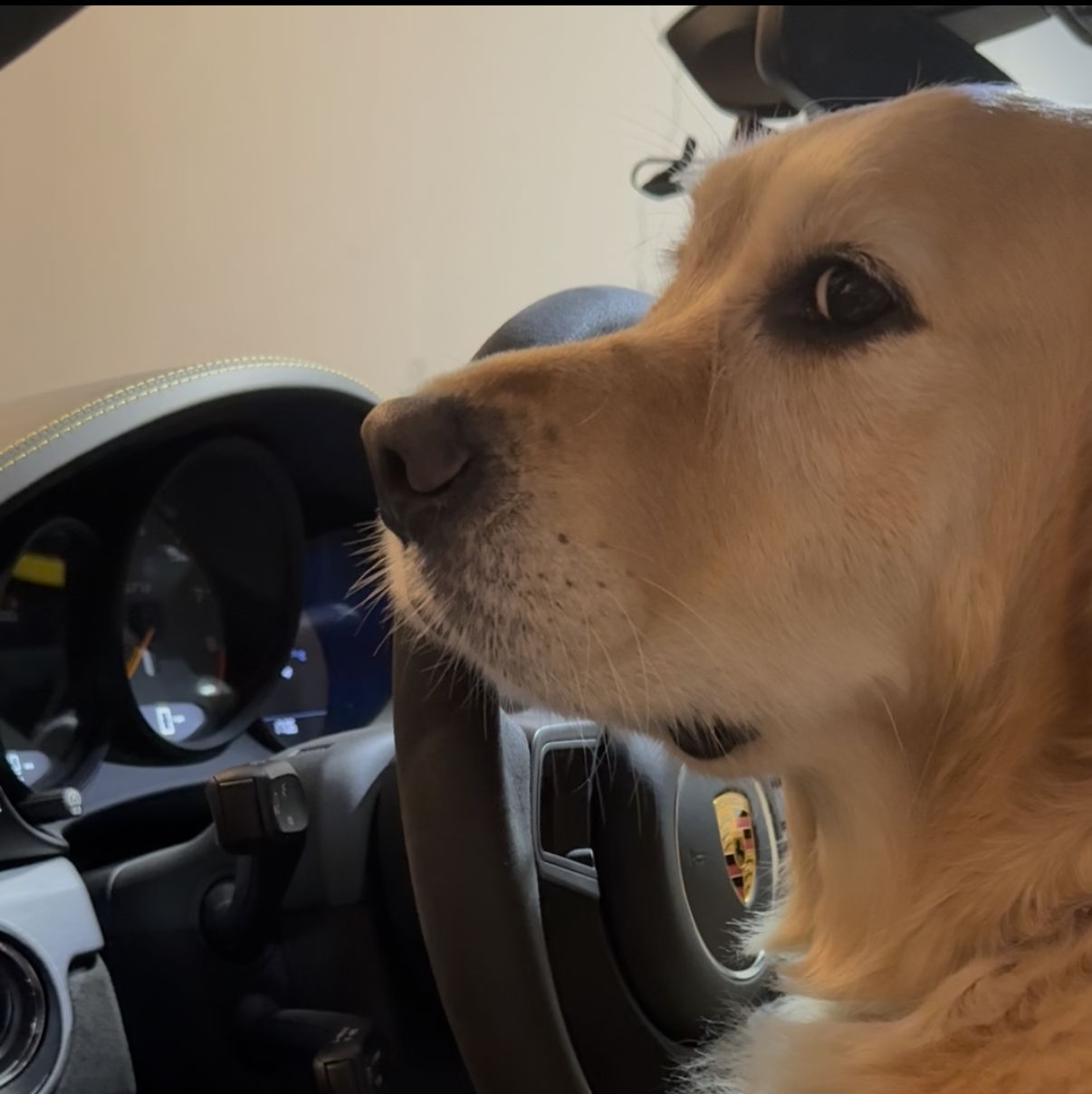 Profile of Krishna Harpanahalli