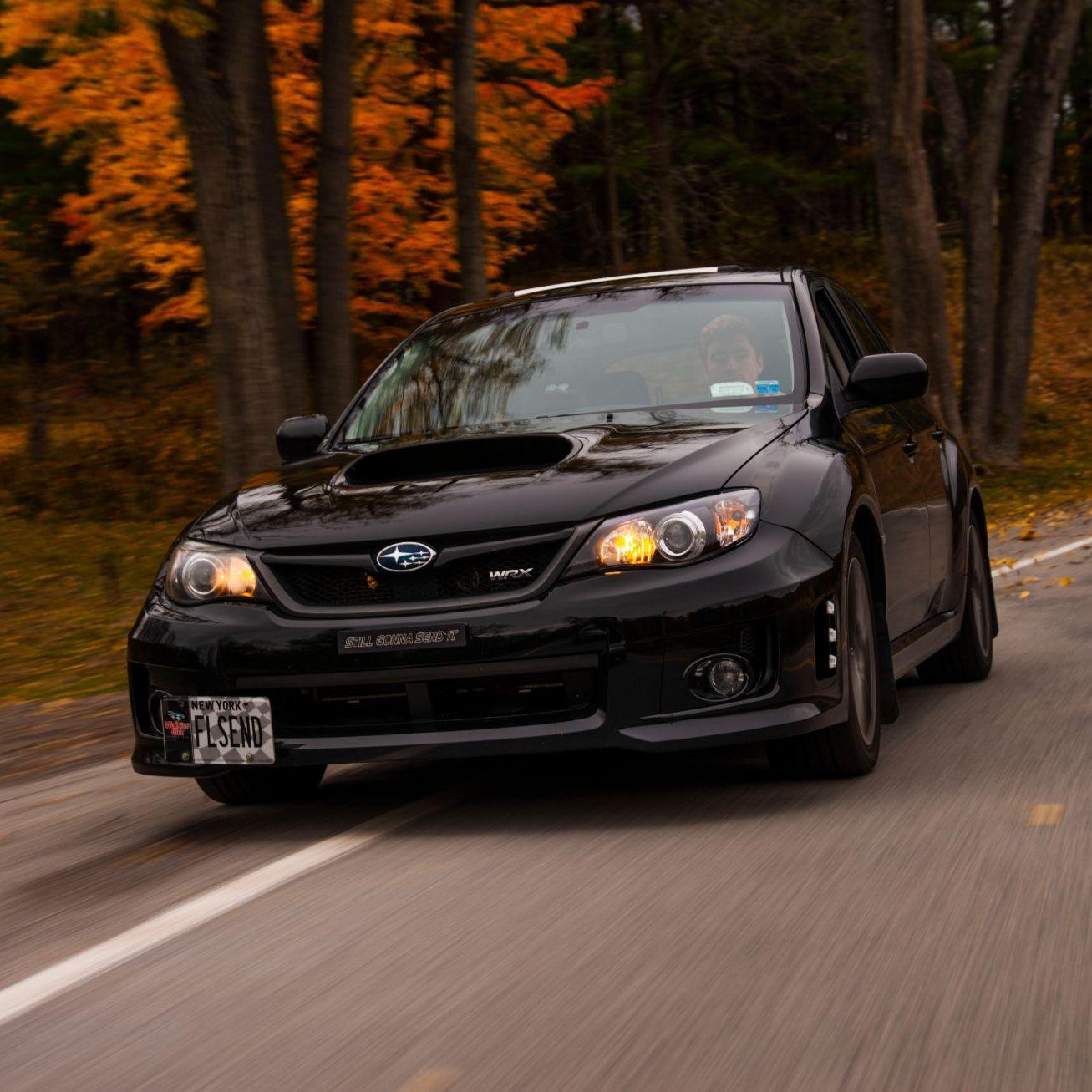 Profile of Weston Brainerd