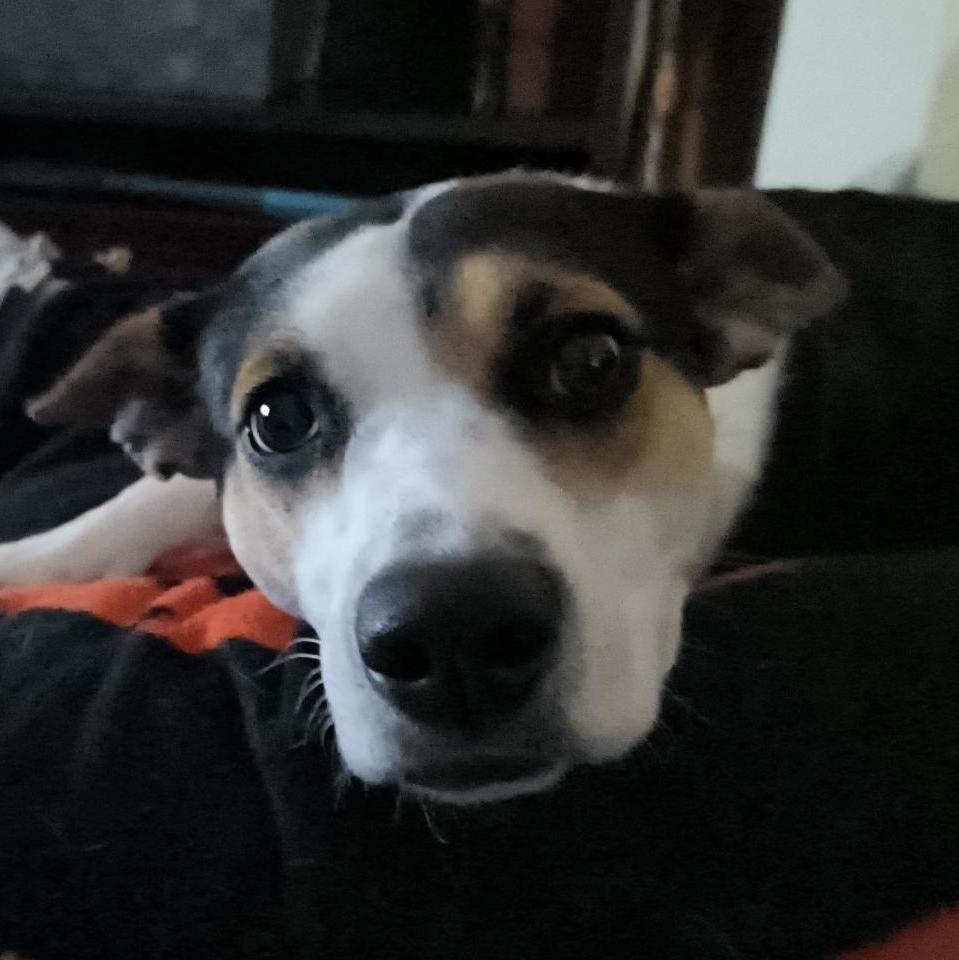 Profile of Timothy Lynch