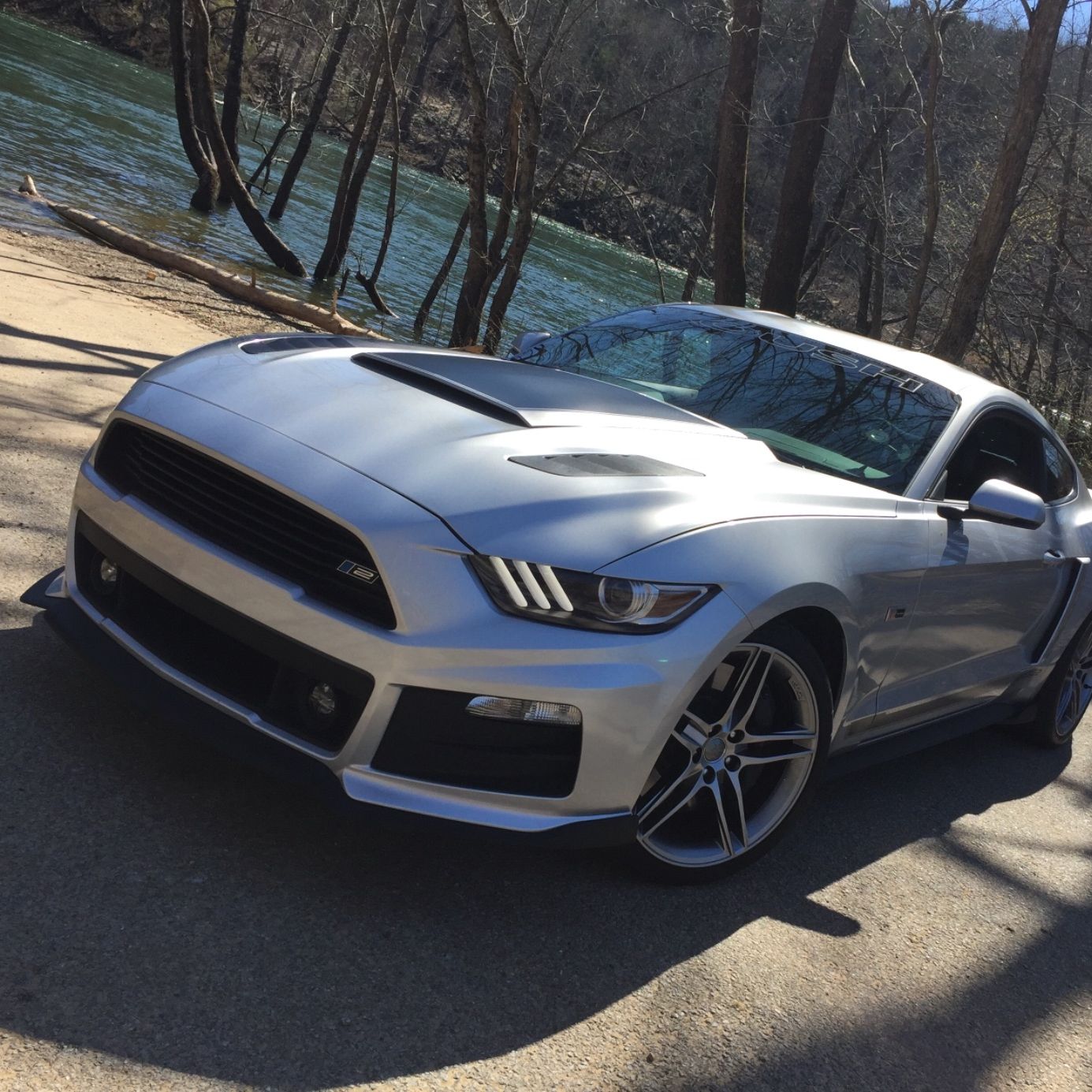 Profile of Stephen Hegyes