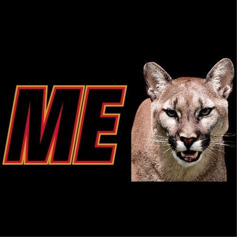 Profile of Michael Orabona