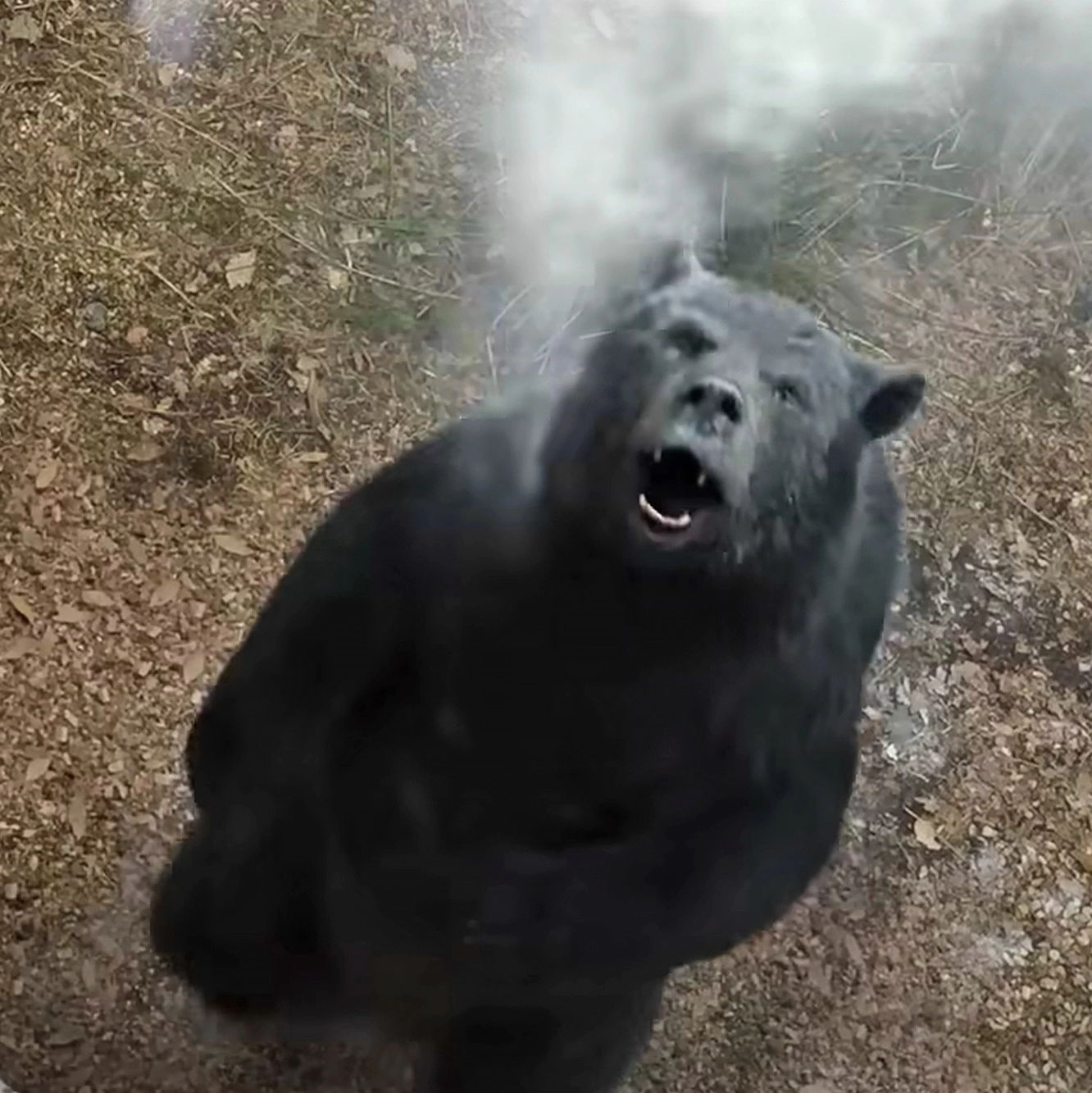 Profile of Kristofer K