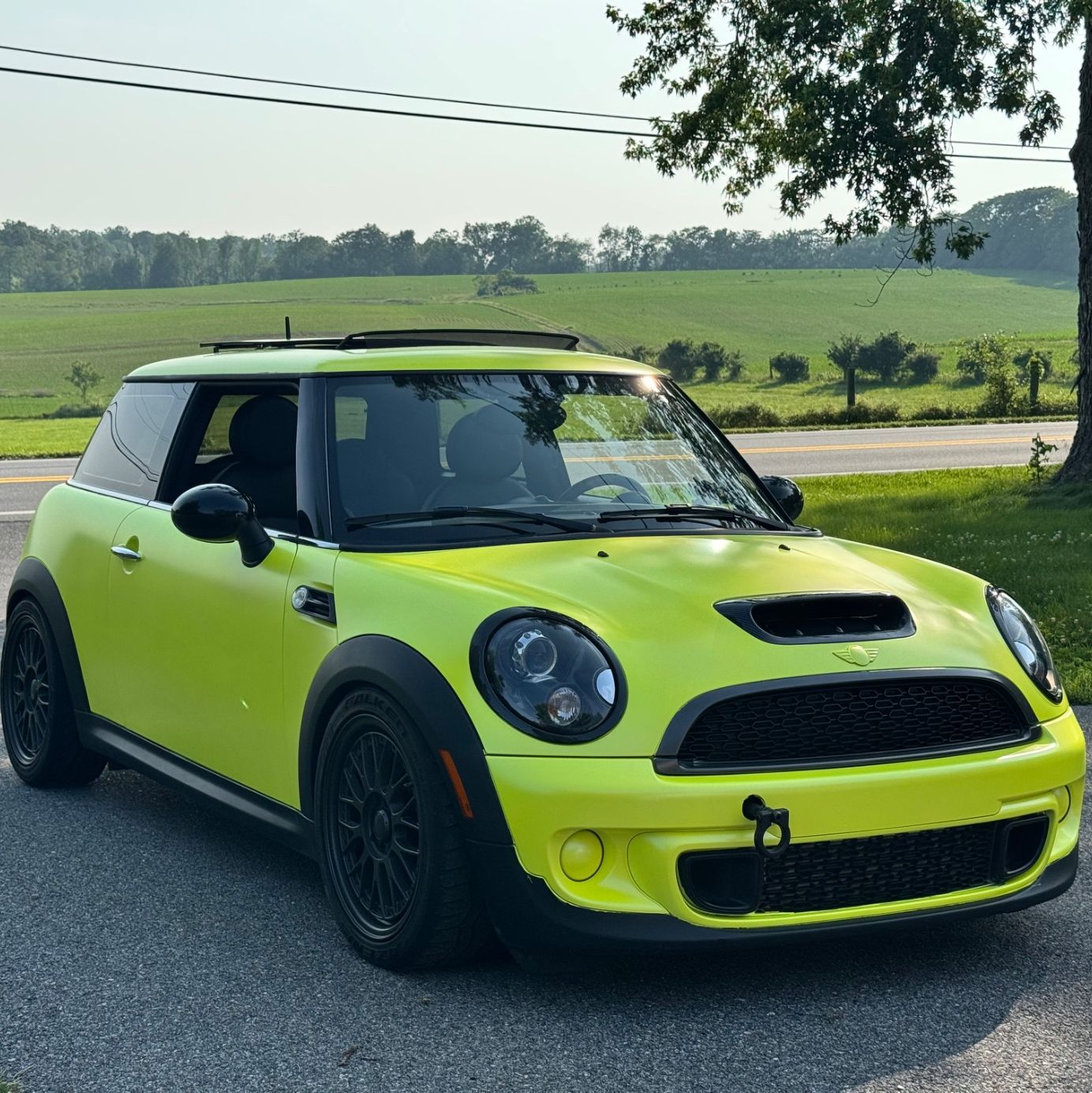 Profile of Michael Mugno