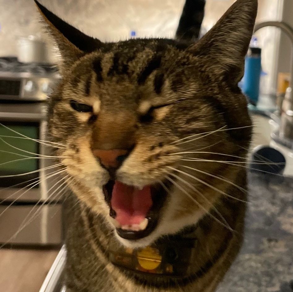 Profile of Judy de la Cuesta