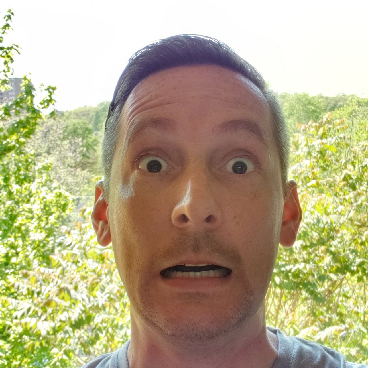 Profile of Allen Ringgold