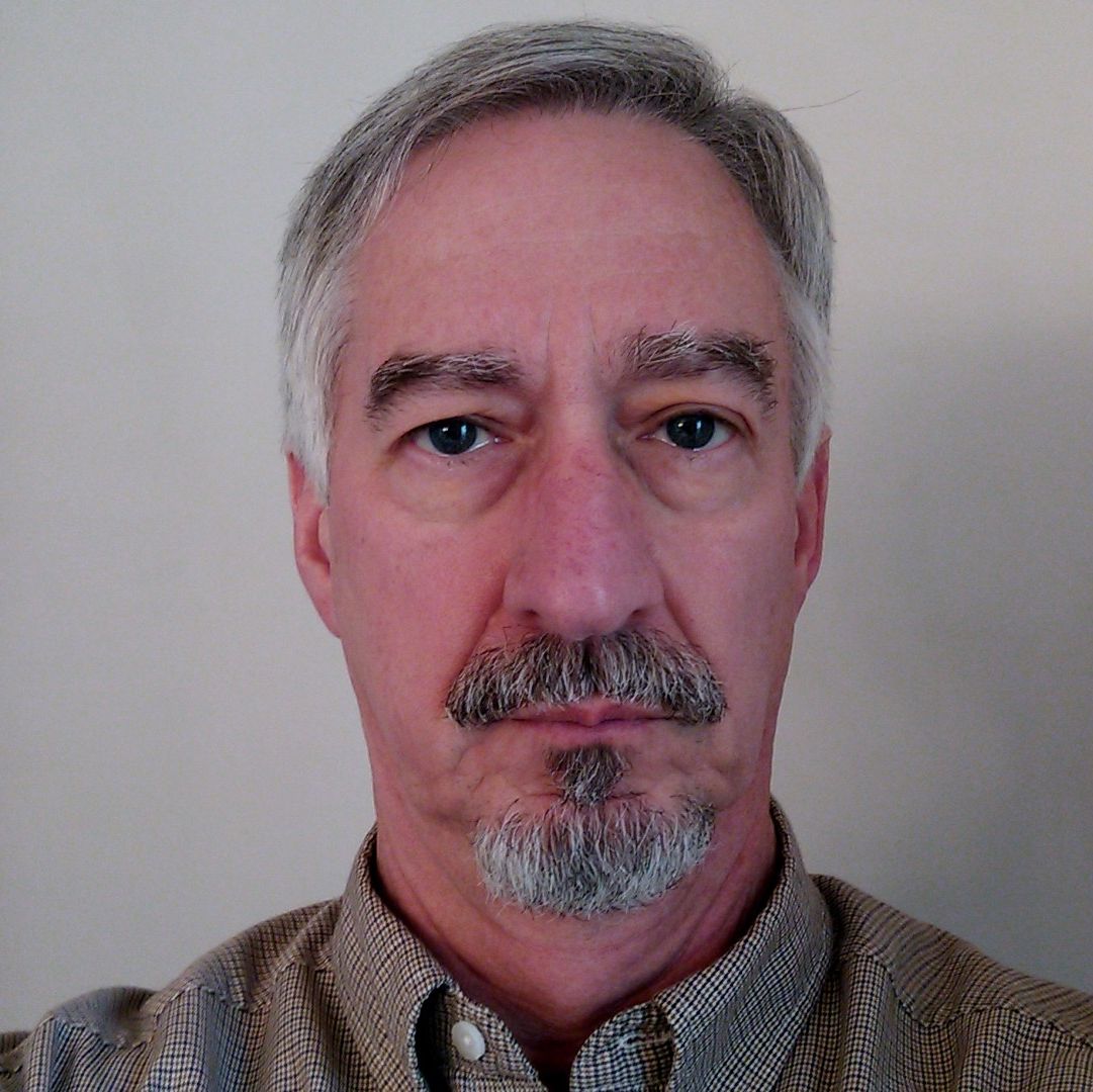 Profile of David Ingram