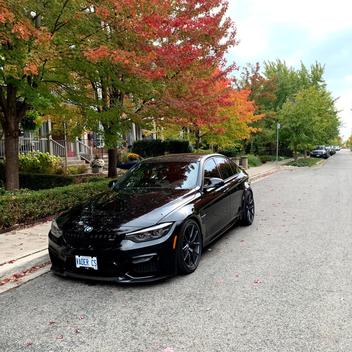 Profile of Lucas Koury