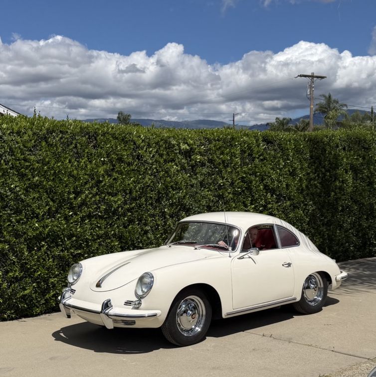 Profile of Rayanne Weber