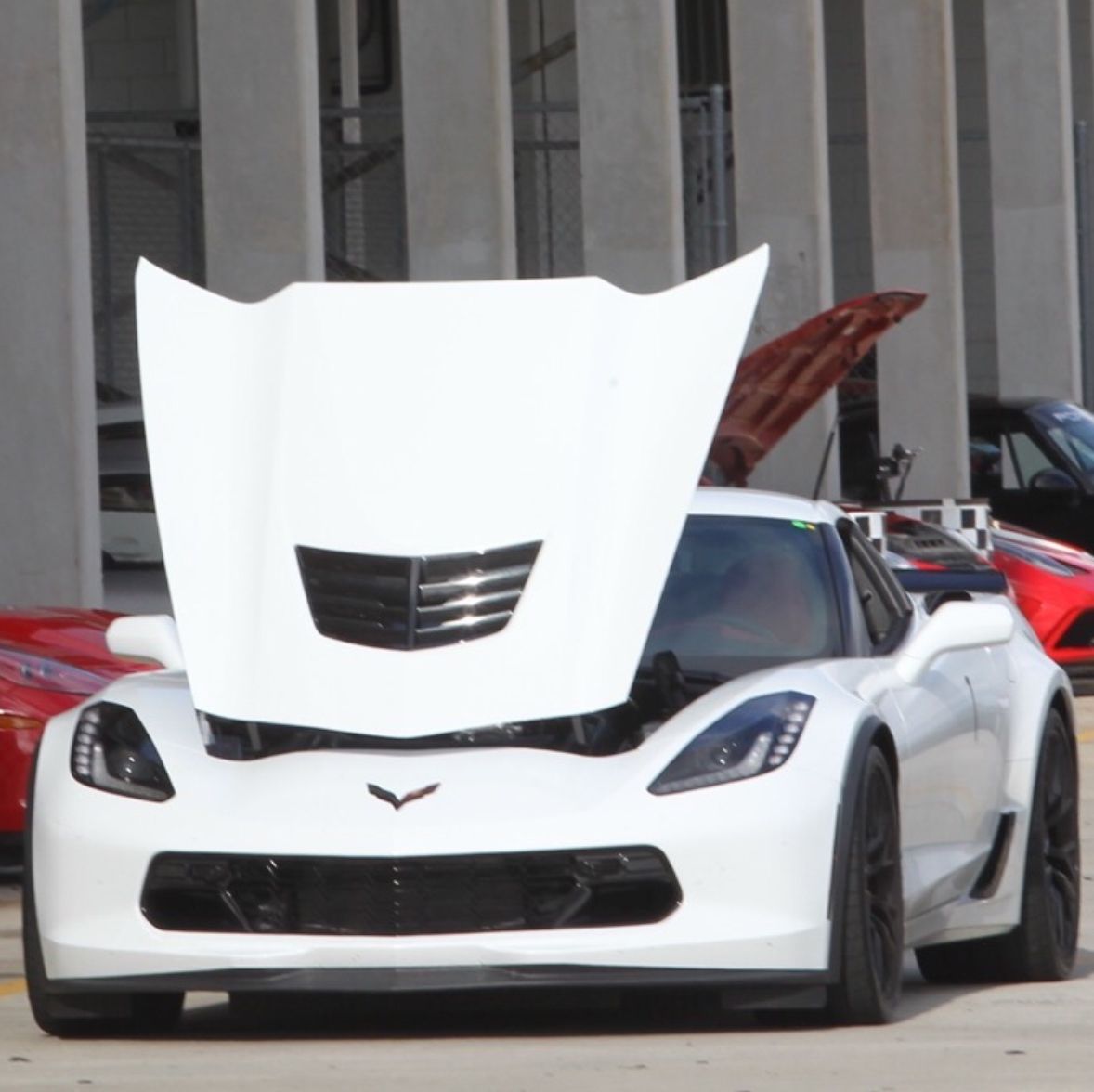 Profile of Mike Malone