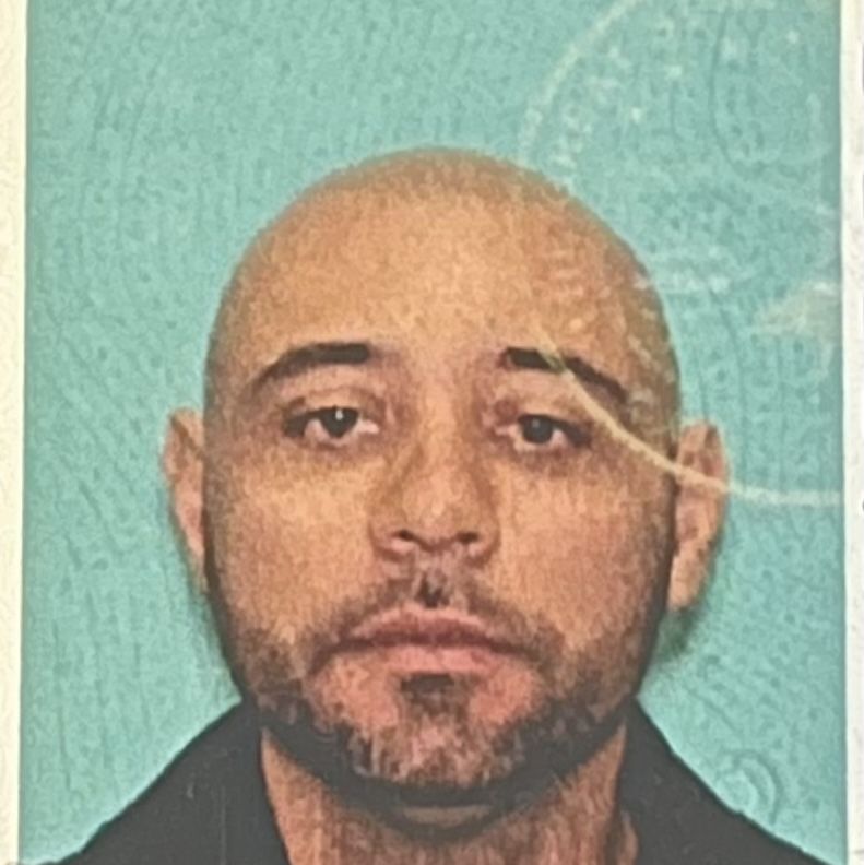 Profile of Frank Amorim