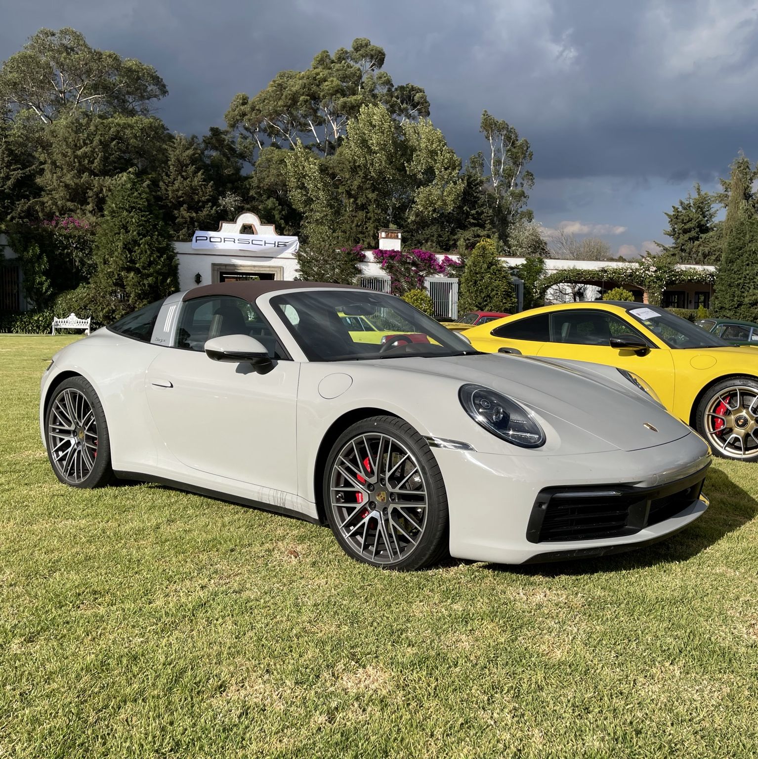 Profile of Diego Bouquet