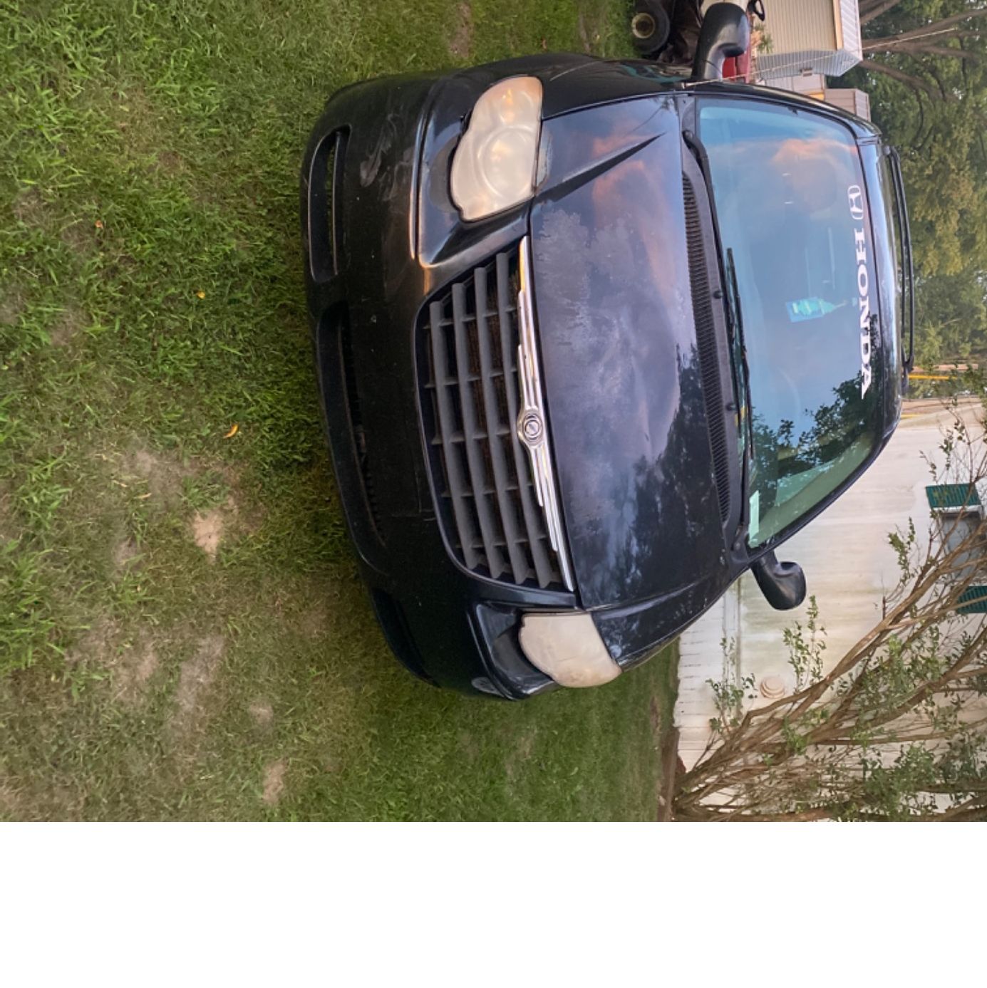 Profile of Tyler Martin