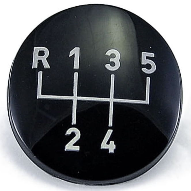 Profile of Dino Alterio