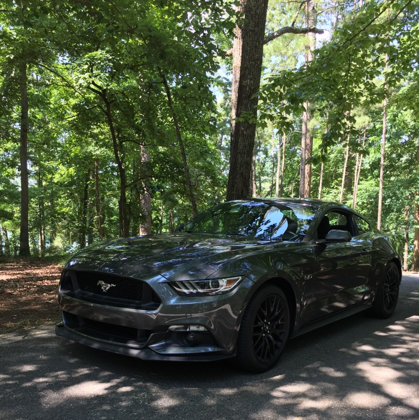 Profile of Bruno Martinez