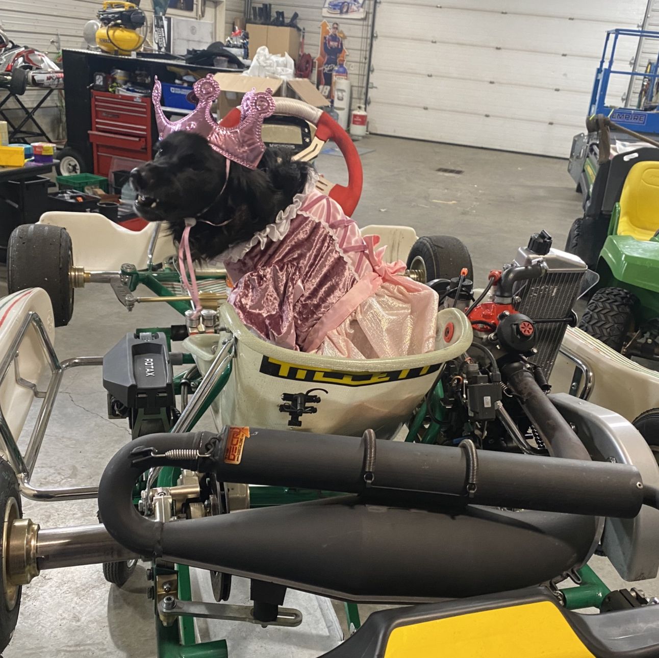 Profile of Noel Dowler