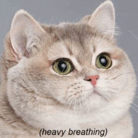 Profile of Owen Smallwood