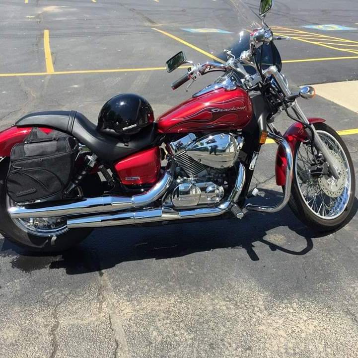 Profile of Joy Landers