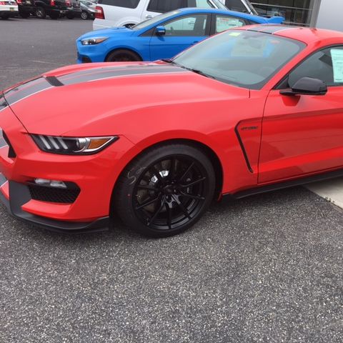 Profile of Joe Murphy