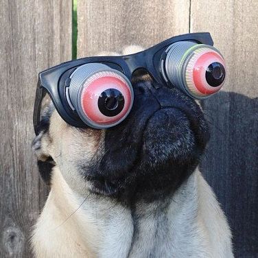 Profile of Scott Bradford