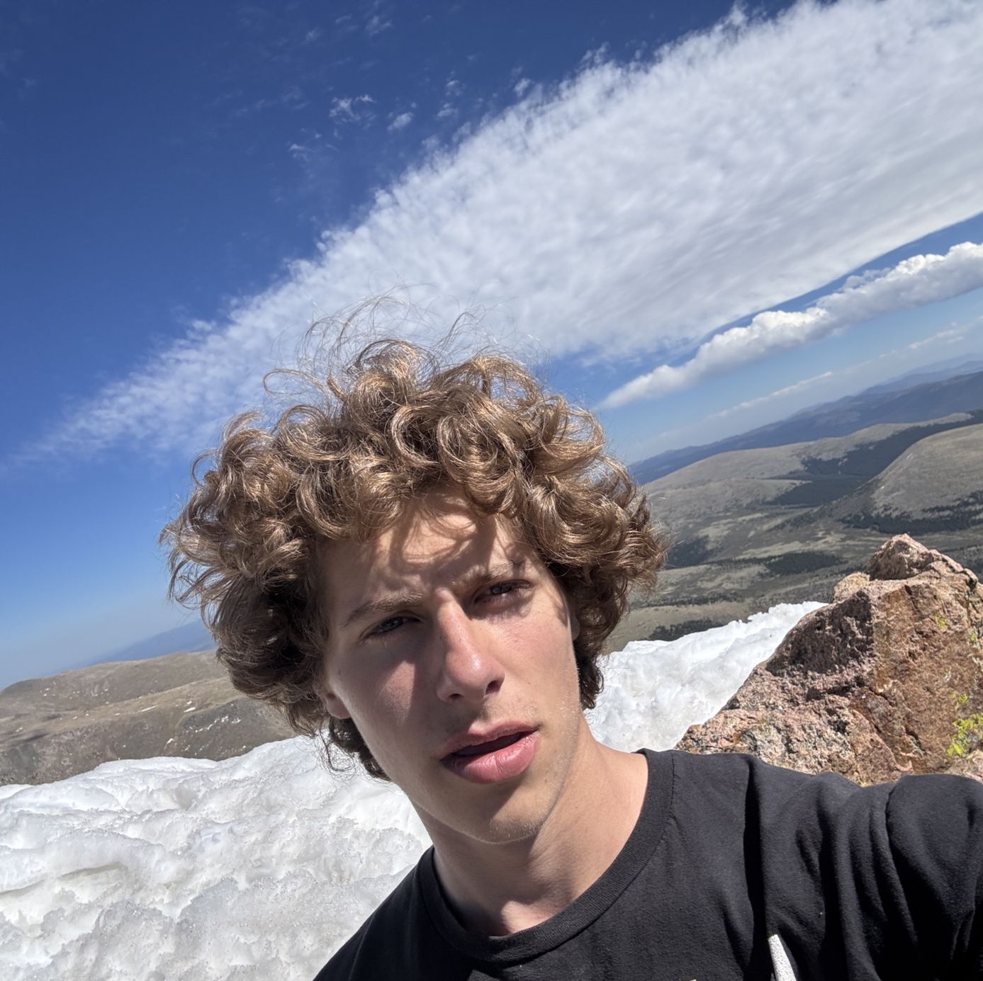Profile of Paul Woody