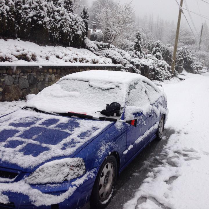 Profile of Alejandro Buse