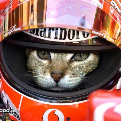 Profile of Zachary Stover