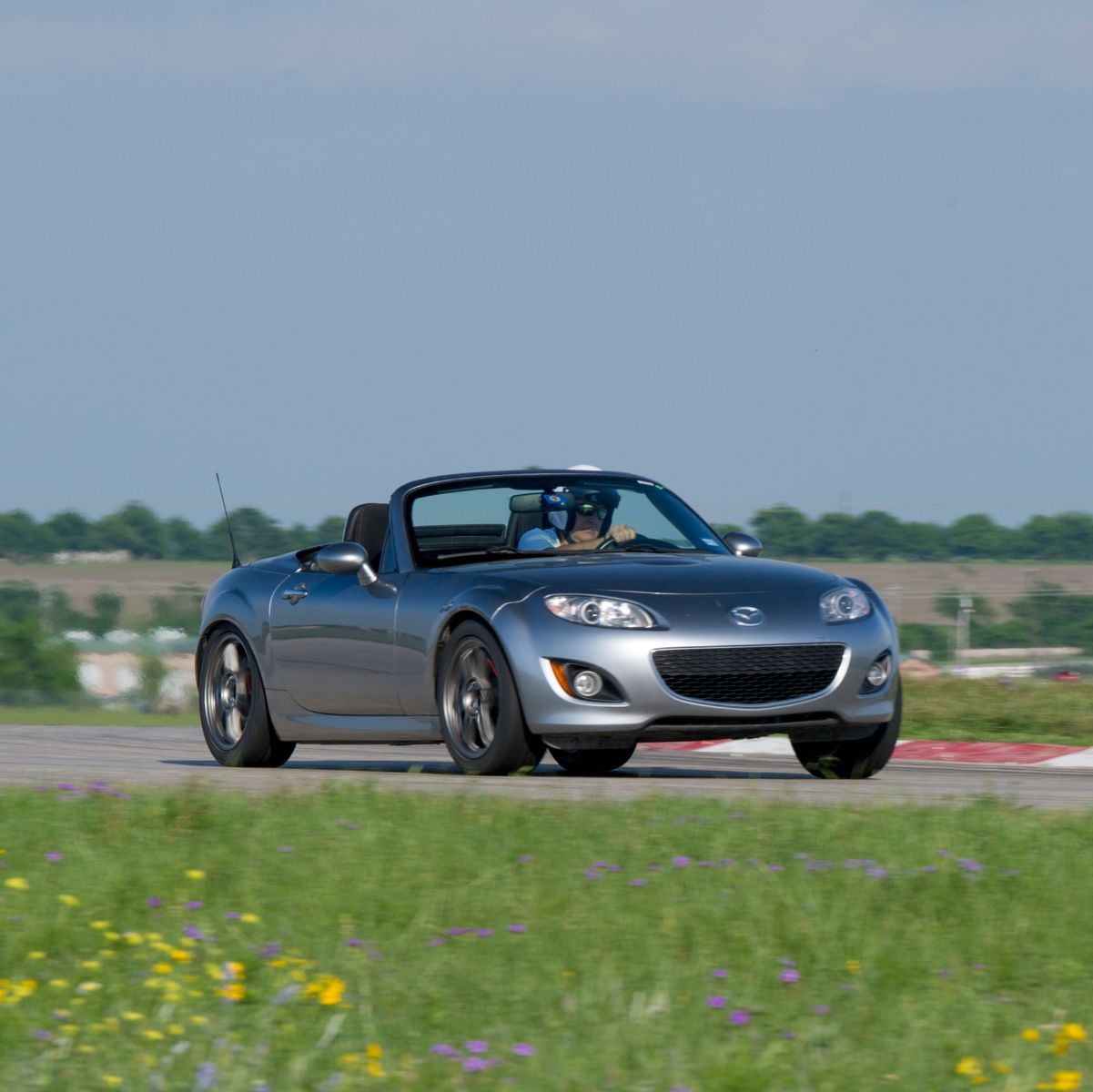 Profile of Sam Mauro