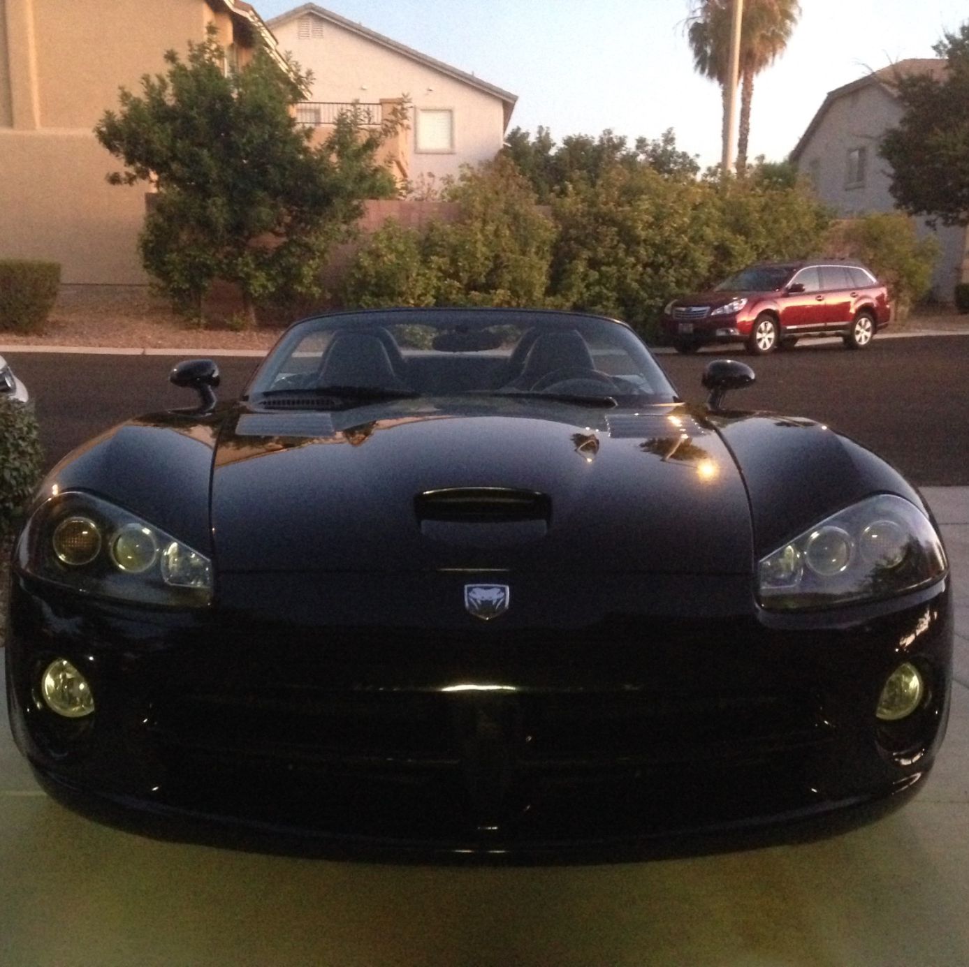 Profile of Michael Adams