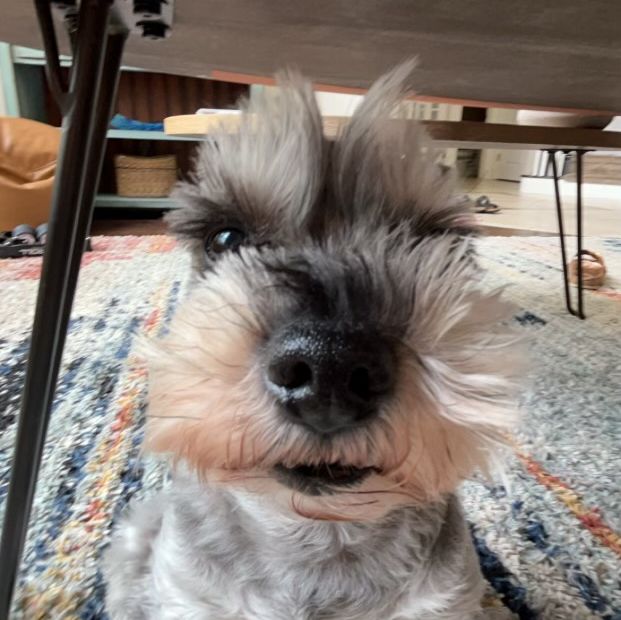 Profile of Judson Smith